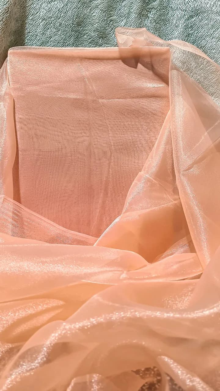 Pastel Anarkali set in peach organza